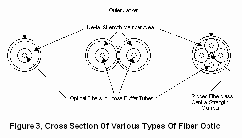 Cross Section of fiber